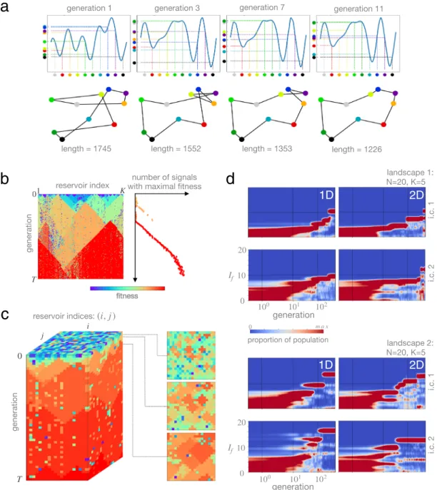 Figure 3.  (a) Recurrent Darwinian neurodynamics over a 1D array of reservoirs solving the travelling salesman  problem (TSP)