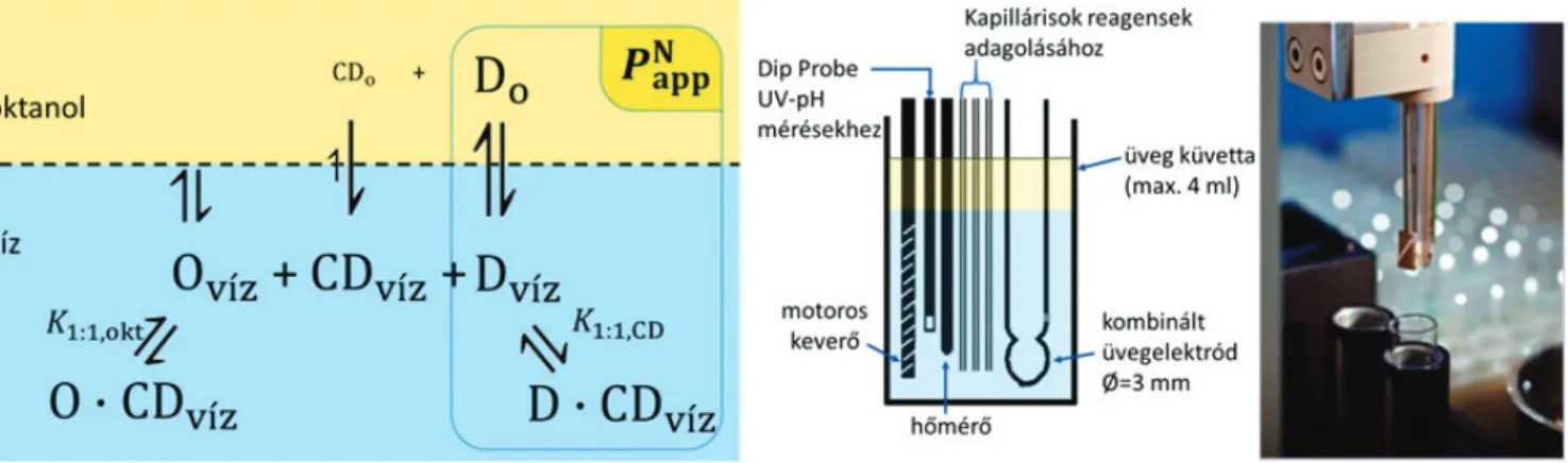 2. ábra. A hatóanyag (D), ciklodextrin (CD) és oktanol (O) között kialakuló egyensúlyok   az oktanol–víz kétfázisú rendszerben és a SiriusT3™ automatikus titrálóberendezés mérőcellája.