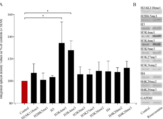 Figure 6. Quantitative Western blot analyses of histone methylation patterns in newborn rat brains
