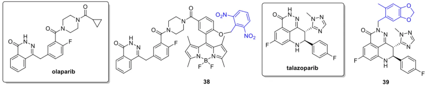 Figure 8. Photoactivatable PARP inhibitors, the PPG indicated in blue.  Figure 8. Photoactivatable PARP inhibitors, the PPG indicated in blue.