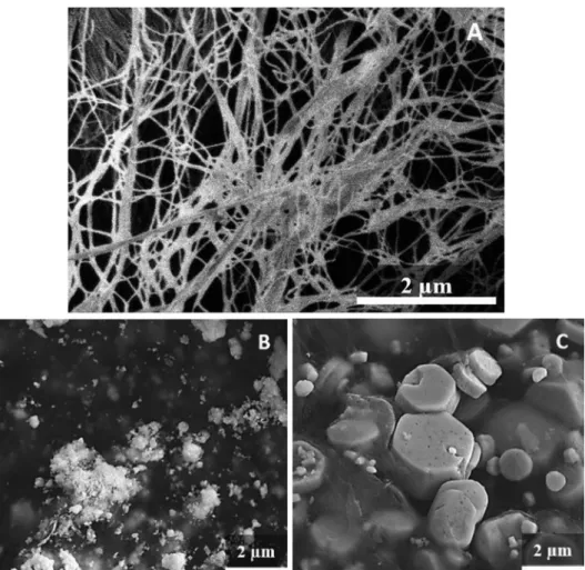 Fig. 3 B clearly demonstrates the presence of presumably ZnO nanoparticles (averagely 20–30 nm) and bigger ZnO agglomerates on the surface of BC fibres prepared by the impregnation method