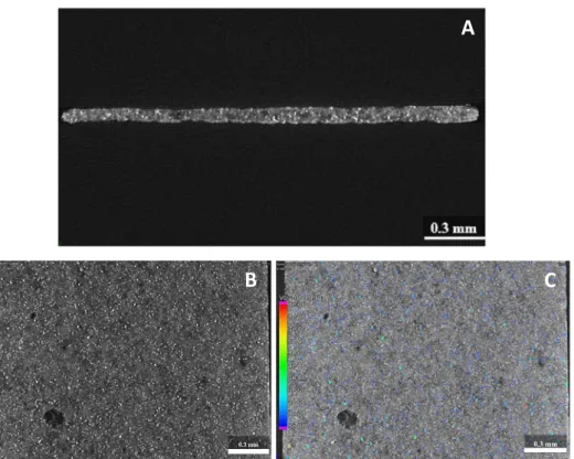 Fig. 4 CT analysis of SOLVO 50 hybrid membrane: cross section analysis (A); surface morphology (B), particle volume distribution (C and D).