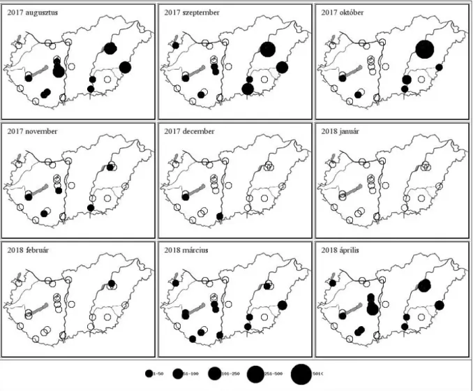 14. térkép: A cigányréce előfordulás havi mintázata Magyarországon, 2017/2018  Map 14: Monthly distribution pattern of Ferruginous Duck in Hungary, 2017/2018 