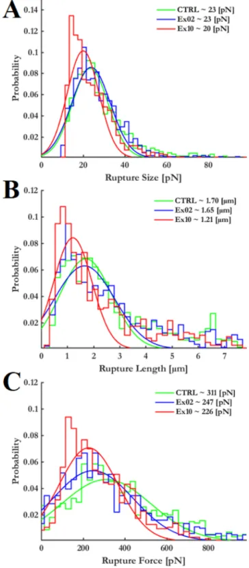 Fig.  5. Rupture  Size  (Panel  A),  rupture  length  (panel  B)  and  rupture  force  (panel  C)  distribution  extracted  from  the  curves  recorded