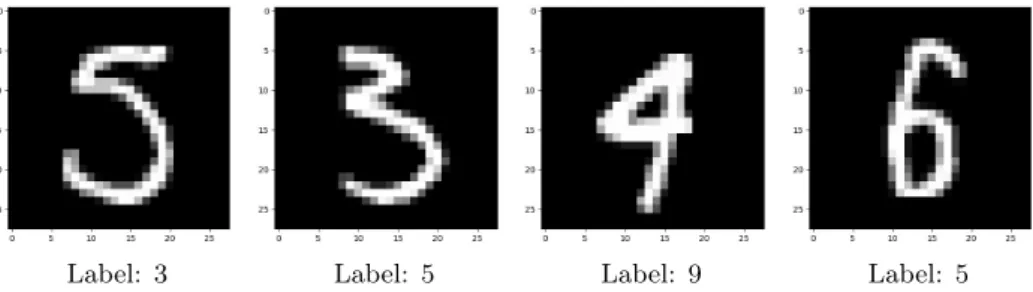 Figure 1. Some misleading images in the MNIST dataset.