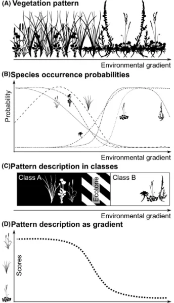 Figure 1. (a) &amp; (b) Species distributions along an environmental gradient. Species occurrence probabilities are changing according to the ecological demands of the species and processes in the community