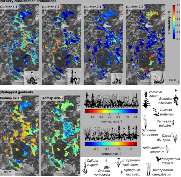 Figure 4. Fuzzy representations of the vegetation patterns resulting from (A) fuzzy classification and (B) gradient mapping