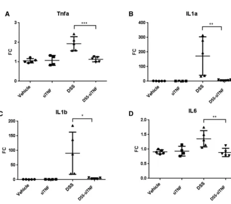 Figure 3. mRNA expression levels of proinflammatory cytokines in vehicle treated controls and 3,5% DSS induced colitis with and without treatment with the modified E