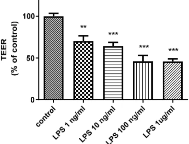 Figure 1. Effects of LPS on TEER in an in vitro BBB model. The figure illustrates that the addition of  LPS to the luminal chamber of the in vitro BBB model for 24 h decreased TEER in a  concentration-dependent manner