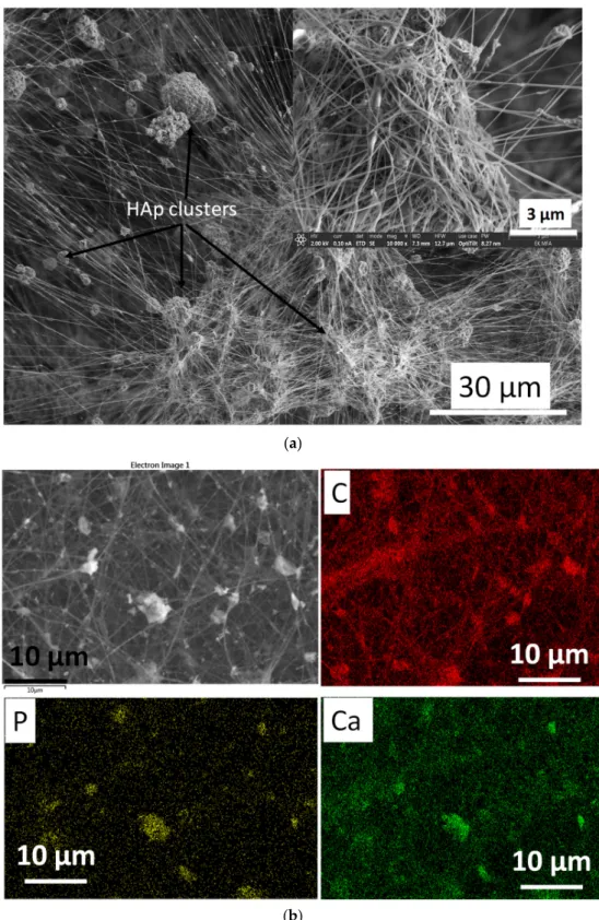 Figure 8. SEM images  on cHAp‐loaded PVP  (a) as  well  as the  corresponding elemental mapping  (b). 