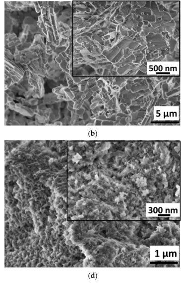 Figure 2. SEM images of calcium phosphate particles (a) as-prepared by wet chemical precipitation (sample CaP1):
