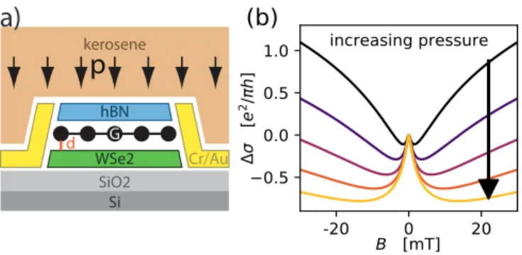 FIG. 1. (a) Schematic side view of a hBN/graphene/WSe 2
