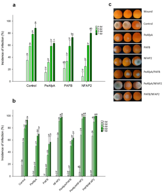 Figure 2. Effect of different antifungal proteins on the infection of orange fruits cv Navel by P