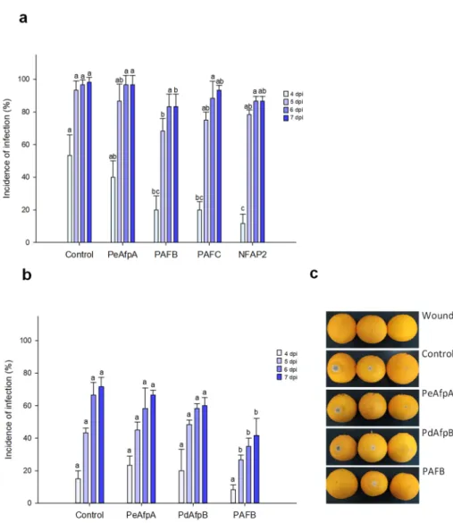 Figure 3. Effect of different antifungal proteins on the infection of orange fruits by P