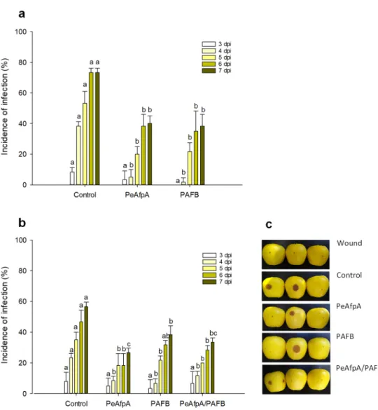 Figure 4. Effect of different antifungal proteins on the infection of apple fruits cv Golden by P