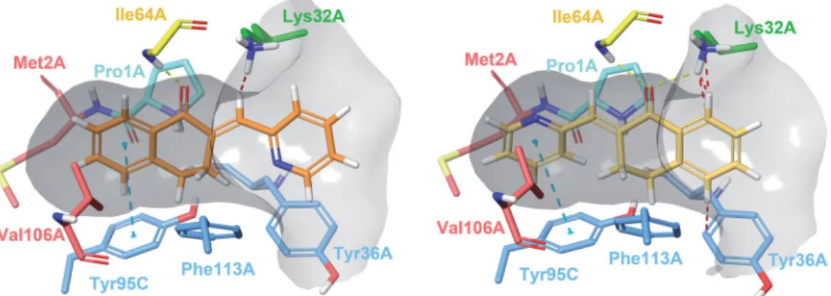 Figure 3. Compound 24 covalently bound to Pro1A of MIF in Type I binding mode. The H-bond with Ile64A is represented by the yellow, and the p–p stacking with Tyr95C by the blue dashed line