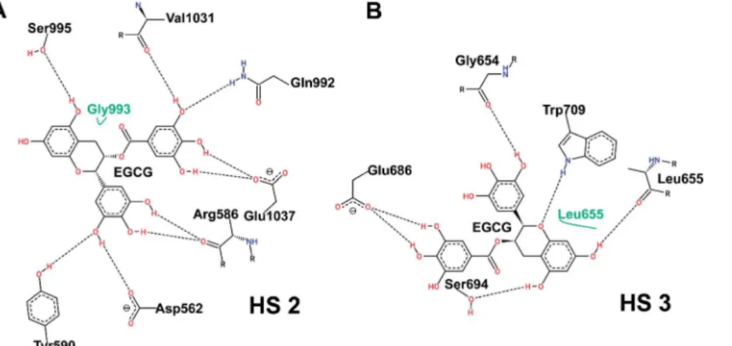 Fig. 8 A dihedral angle PCA based free energy landscape of Uba1 when EGCG binds (A) at HS2 (B) at HS3