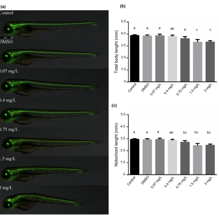 Figure 2. (a) Photomicrographs taken at 72 hpf. (b) Total body length and (c) notochord lengths of zebrafish embryos  exposed to various concentrations of bendiocarb during a 96-h test