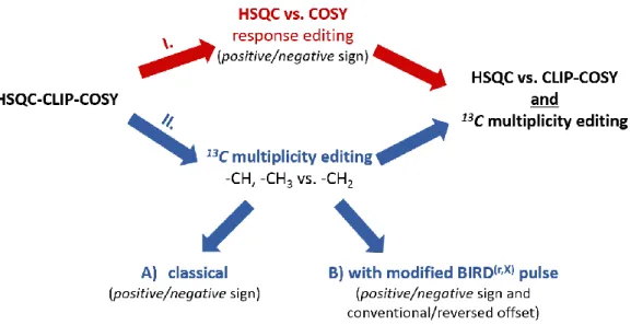 Figure 1. Schematic overview of the editing options of the HSQC-CLIP-COSY experiment. There are two  major routes, which can be applied separately or simultaneously, depending on the complexity of the molecular  structure investigated