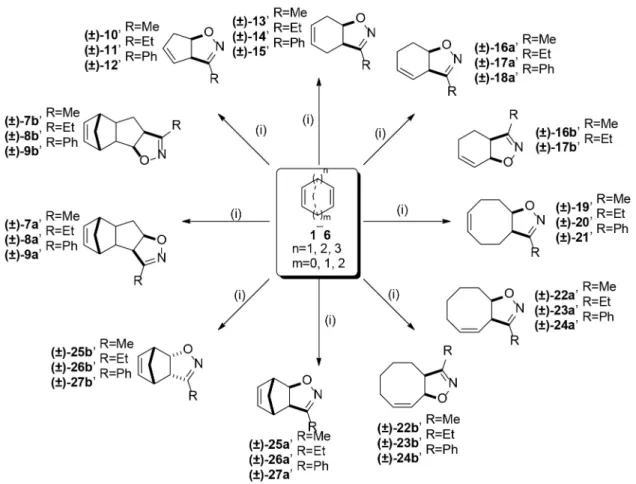 4. ábra: Aliciklusos gyűrűvel kondenzált izoxazolin-származékok szintézisei