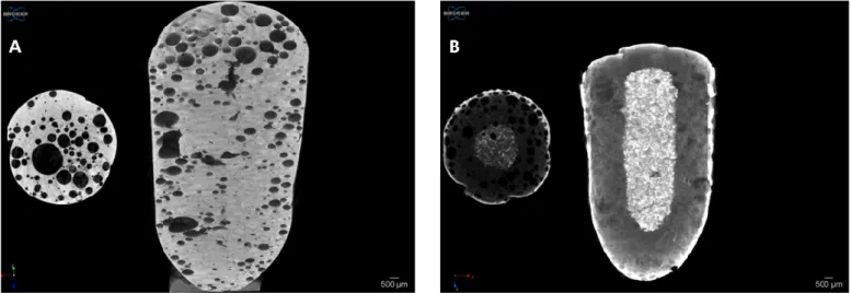 Figure 11. Micro-CT images of solid foam structure (A) at zero time and (B) 10 h after dissolution test