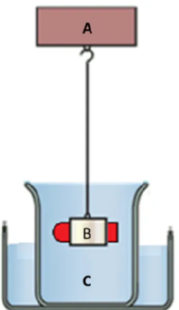 Figure 3. Buoyancy measurements. The net holder (B) is attached to a very sensitive balance (A)  while immersing in the release medium (C) along with the samples
