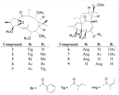Figure 2. Structures of the isolated diterpenoids (1–9).