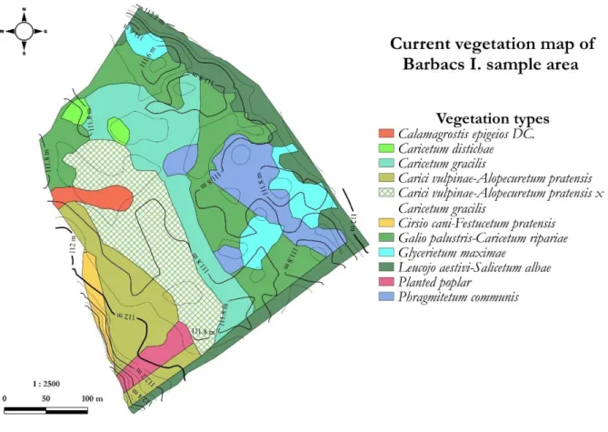 Figure 6. Current vegetation map of Barbacs I. sample area 