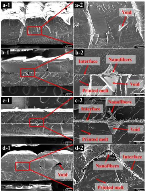 Fig. 11. SEM images of fracture cross-sections of the nanocomposites with different nanofiber contents: (a) neat PLA, (b) 2.4% NF, (c) 6.5% NF, (d) 10.1% NF