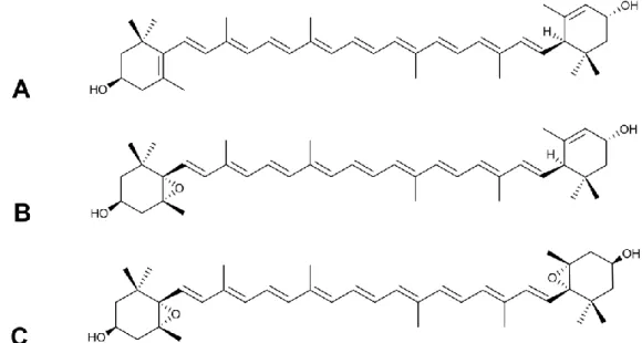 Figure 3. The most characteristic carotenoids of Meliloti herba. (A) (all-E)-lutein. (B) (all-E)-lutein 5,6-epoxide