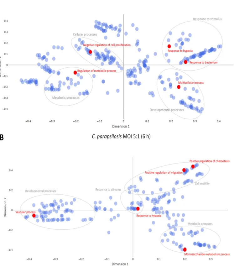 FIG 4 Multidimensional scaling plot of target mRNA functions. Potential effects of condition-speci ﬁ c miRNAs on transcriptomic responses