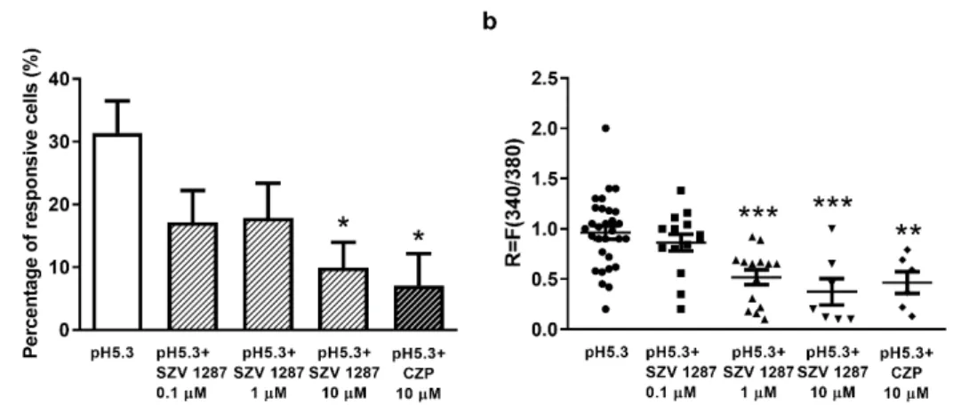 Figure 3. Effect of SZV 1287 on proton-induced TRPV1 receptor activation on cultured primary sen- sen-sory neurons