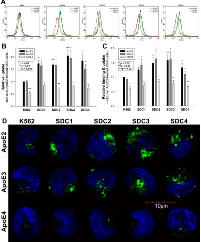 Figure 1. Cellular uptake of ApoEs into WT K562 cells and SDC transfectants. WT K562 cells and SDC transfectants were treated with either of the FITC-labeled ApoE isoforms for 3 h at 37 ◦ C