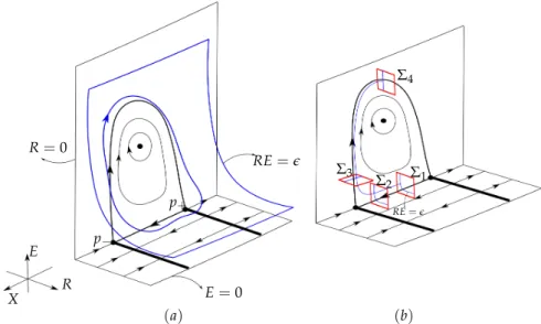 Figure 3.1: (a) Closed orbits near the polycycle Γ, inside RE = e, for a fixed e &gt; 0