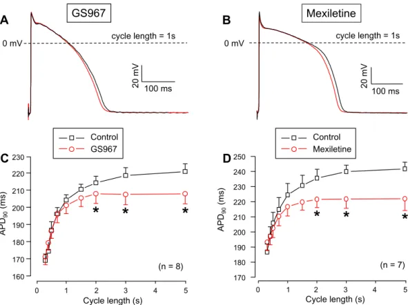 Figure 5.  Cycle length-dependent effects of GS967 (A,C) and mexiletine (B,D) on AP duration measured at  90% of repolarization  (APD 90 ) in canine right ventricular trabeculae under steady-state conditions