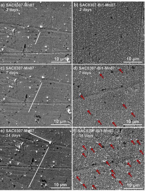 Fig.  3  shows  the  whisker  growth  in  the  same  area  with  the  same  magnification (8000 × ) of the sample over the time of storing