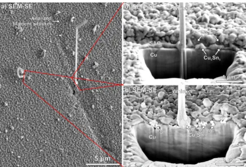 Fig. 5. FIB cut of a filament and a nodule whisker on the SAC0307-Mn07 layer, at 28 days after the layer deposition: a) the analyzed filament and nodule whisker; b)  layer structure under the filament whisker; c) layer structure under the nodule whisker