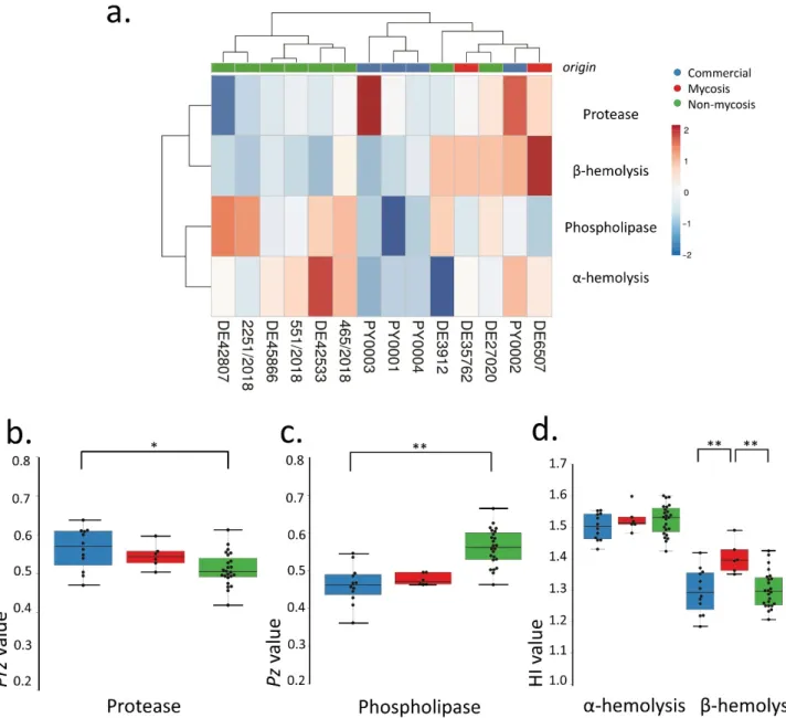 Figure 1. Comparisons of virulence factors (phospholipase and protease production, hemolysis): (a) Phenotypic clustering  of isolates and heat map representation of results
