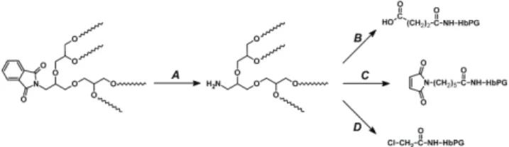 11. Ábra. a poli(N-vinil-imidazol)-l-poli(tetrahidrofurán) (PVIm-l-PT- (PVIm-l-PT-HF) amfifil kotérháló makromonomer módszerrel történő előállításának  a sémája.