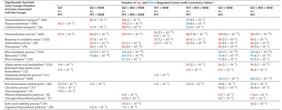 Table 2. Summary of gene enrichment analyses.
