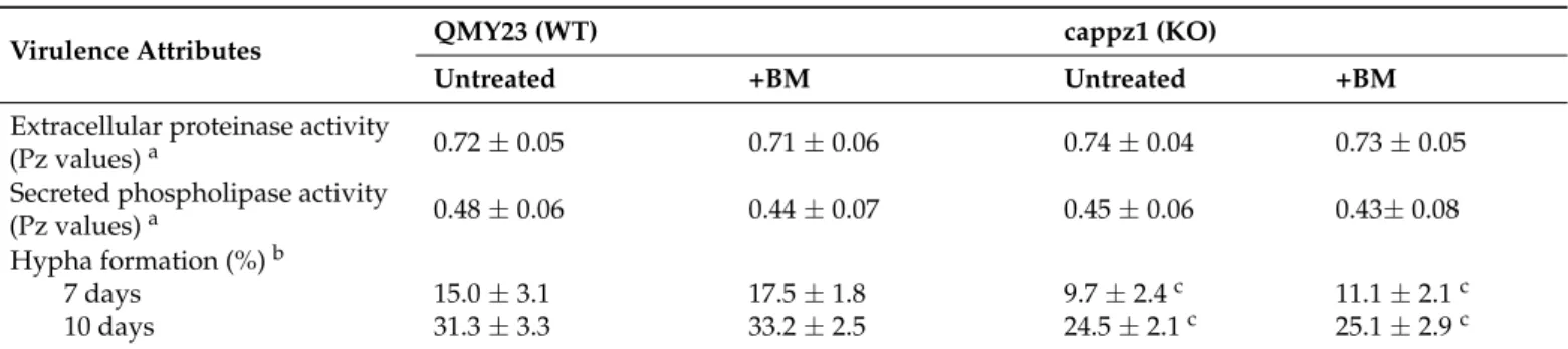 Table 3. Effect of betamethasone (BM) on the virulence attributes of C. albicans.