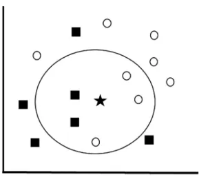 Fig. 1. The kNN classiﬁcation