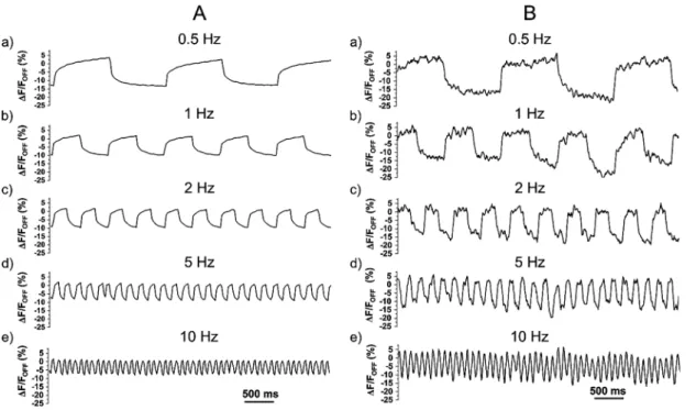 Figure 5: Effect of a frequency modulated E-field with an amplitude of 150 kV/cm on the ﬂ uorescence changes of the quasi-type-II QD9-PSMA under (A) 1P excitation (460 – 495 nm) and (B) 2P excitation (900 nm) for different frequencies.