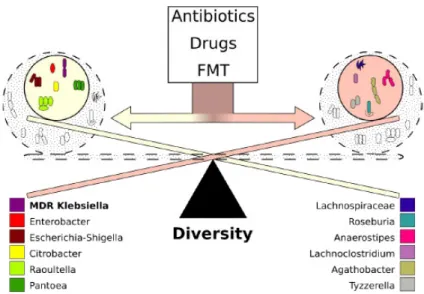 Figure 9. The dynamics of colonization with MDR K. pneumoniae. Colonization dynamics with  multi-drug-resistant K