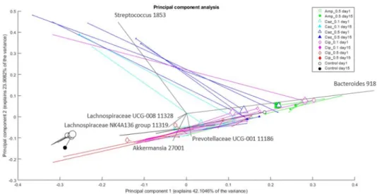 Figure 6. Changes in the composition of bacterial genera in the microbiota after different treatments