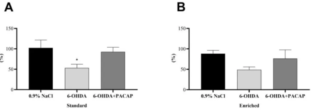 Figure 2. Percentage of the dopamine contents of the s.n. of the injured side compared to the un- un-damaged, control side of (A) standard and (B) enriched rats