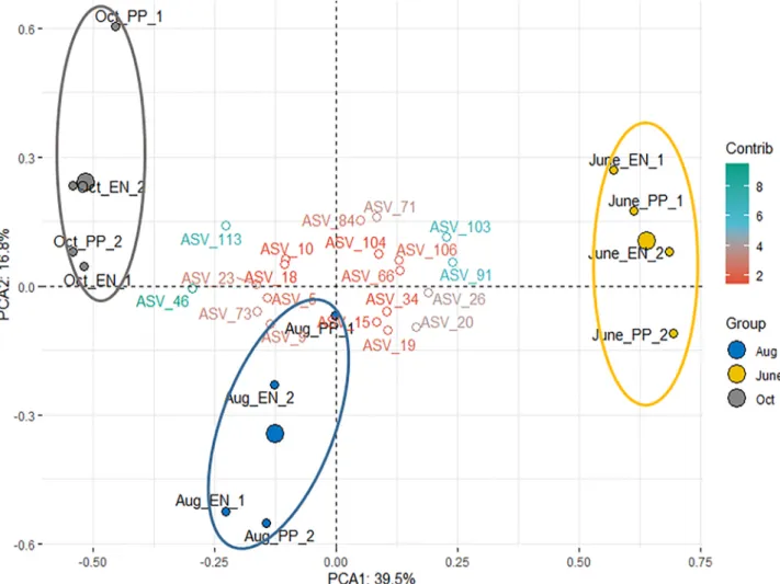 Fig. 3. Principal Component Analysis presents biplot of the established microbial communities at the end of the experiments, according to various harvests (colors ~  Group) and genotypes (labels)
