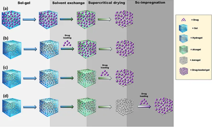 Fig. 2. Strategies to load drugs into aerogels: (a) the drug is added to the precursors solution; (b) the drug is added to the gel; (c) the drug is incorporated during the  supercritical drying; and (d) the aerogel is formed first and then the drug is load