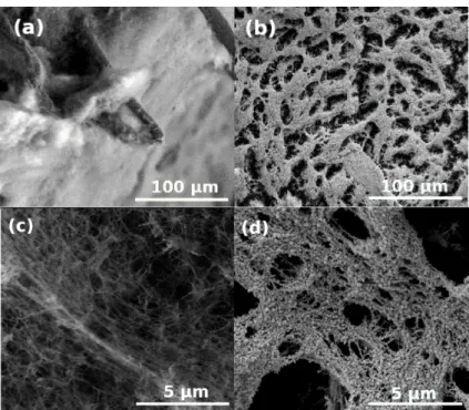 Figure 8. LVSEM images of cellulose aerogel samples. (a,c) Pristine, uncoated. (b,d) Plasma coated for 2.5 min.