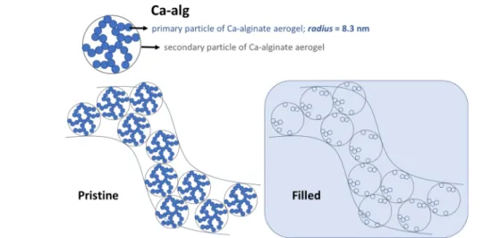 Figure 5. Proposed nanoscale structure of the native Ca-alginate (Ca-alg) aerogel. The panel labeled “ﬁlled” denotes ﬁlling with a contrast matching agent (a H 2 O−D 2 O mixture of 46 wt % H 2 O−54 wt % D 2 O) in SANS.